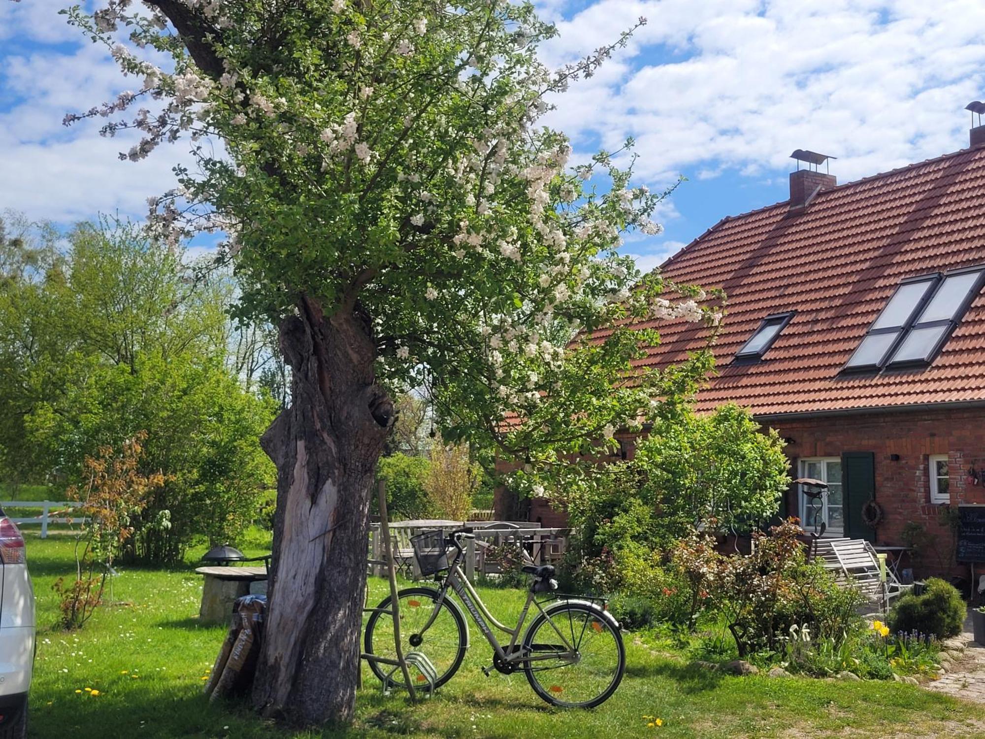 Seminar Und Landhaus Schoenbeck Schonbeck  Zewnętrze zdjęcie