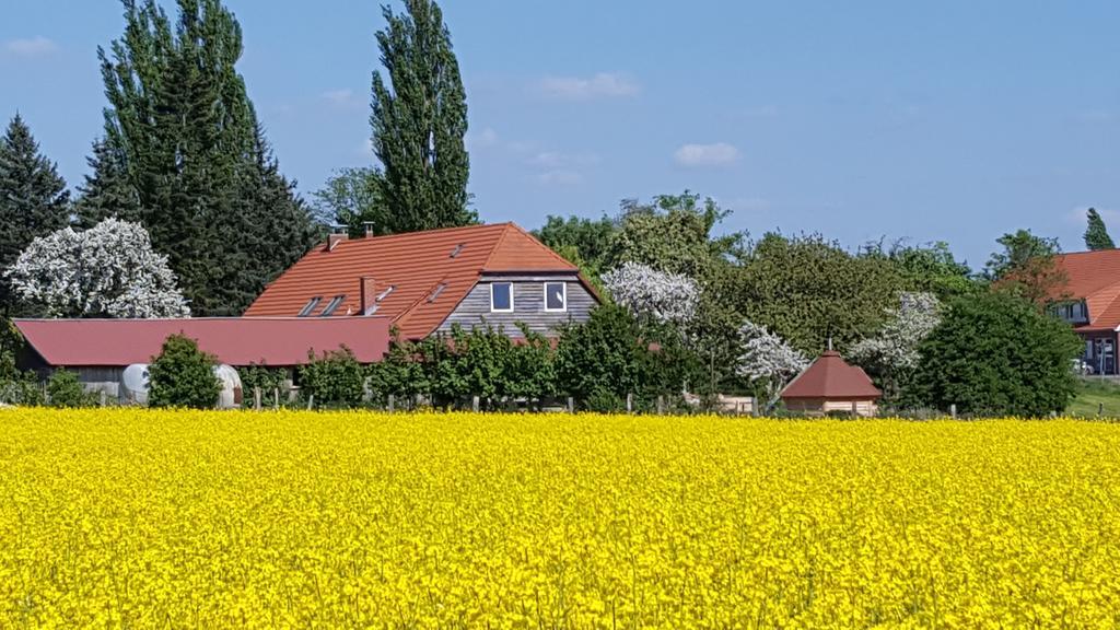 Seminar Und Landhaus Schoenbeck Schonbeck  Zewnętrze zdjęcie